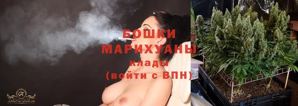 молекула духа Покров
