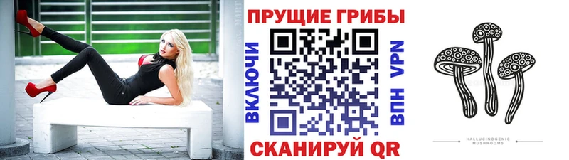 Псилоцибиновые грибы Magic Shrooms  OMG ссылка  Сибай  наркошоп 