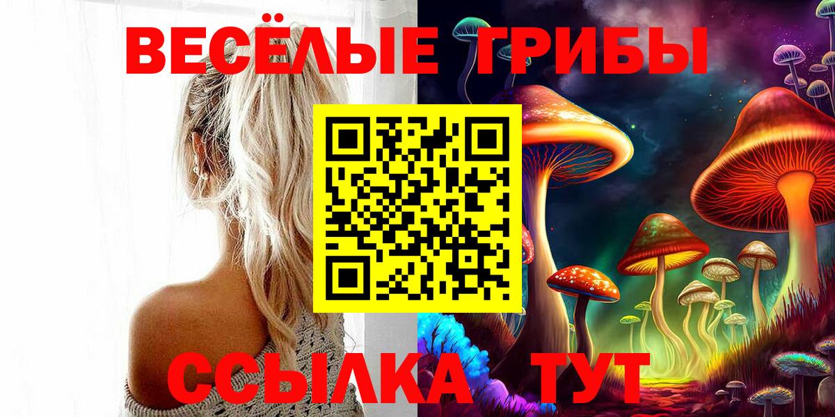 Псилоцибиновые грибы GOLDEN TEACHER Сибай
