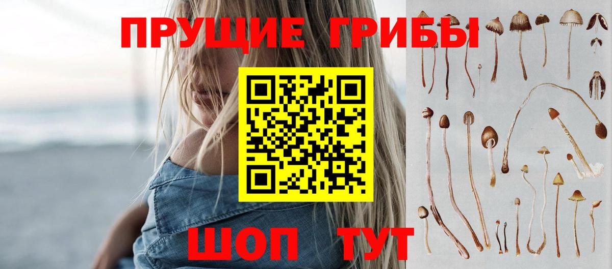 Сибай  Галлюциногенные грибы ЛСД  Вход с VPN 
