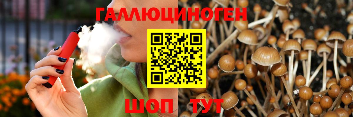 Псилоцибиновые грибы ЛСД Сибай